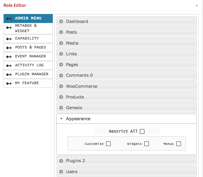 customize-wordpress-website-roles-03-menu-widget-changes